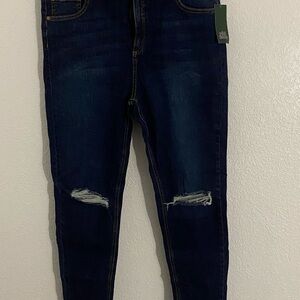 Wild Fable Dark Blue Ripped Skinny Jeans